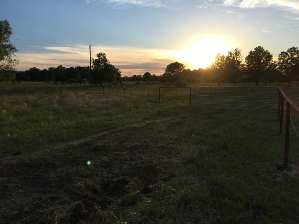 Don’t Fence Me…Out!