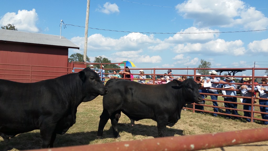 Learning to be “Producers”