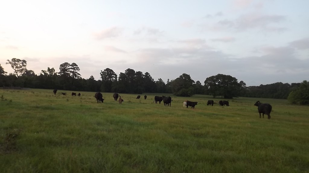 A Season for&nbsp;Everything